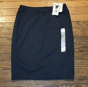 Ellen Tracy Stretch Skirt